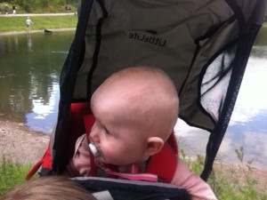 Lille Meis trives i meisen :)