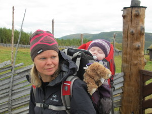 Lille meis sover godt i meisen 